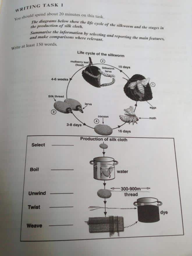 Writing Task 1 Process Chart